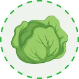 为您呈现最精彩的足球盛宴 - 世界杯赔率