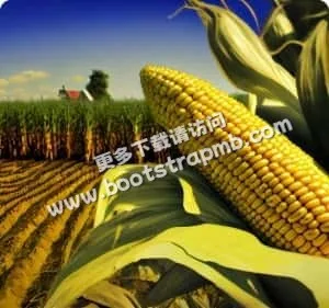 我们致力于提供最可靠的赛事数据 - 世界杯赔率